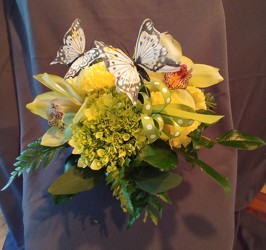 Orchids and butterflies from Lloyd's Florist, local florist in Louisville,KY