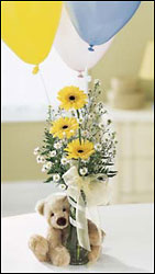 FTD Welcome Bear Bouquet from Lloyd's Florist, local florist in Louisville,KY