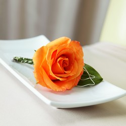 The FTD New Sunrise Boutonniere from Lloyd's Florist, local florist in Louisville,KY