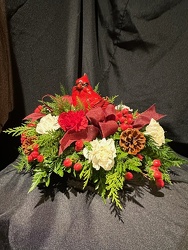 Cardinal in Bed of Fresh 