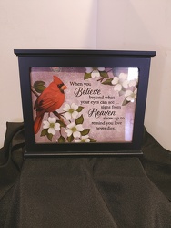 Cardinal Shadow Box  from Lloyd's Florist, local florist in Louisville,KY
