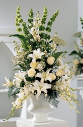 Classic White Arrangement from Lloyd's Florist, local florist in Louisville,KY