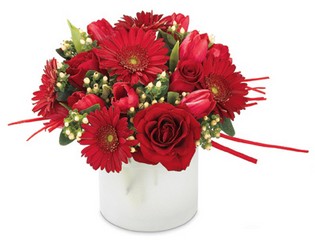 Bright & Cheery Holiday Bouquet from Lloyd's Florist, local florist in Louisville,KY