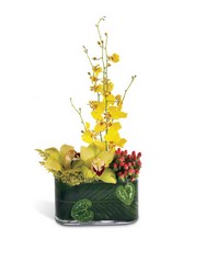 Exotic Expressions Arrangement from Lloyd's Florist, local florist in Louisville,KY
