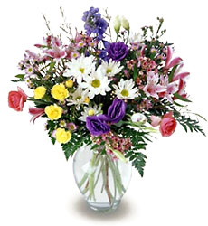 FTD Beloved Bouquet from Lloyd's Florist, local florist in Louisville,KY