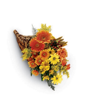 Lloyd's Florist :: Flower Shop Louisville, KY :: Flower ...