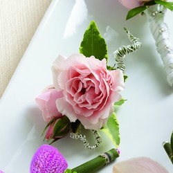 The FTD Pink Spray Rose Boutonniere from Lloyd's Florist, local florist in Louisville,KY