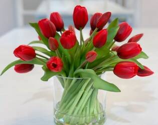 Tulips in Vase from Lloyd's Florist, local florist in Louisville,KY