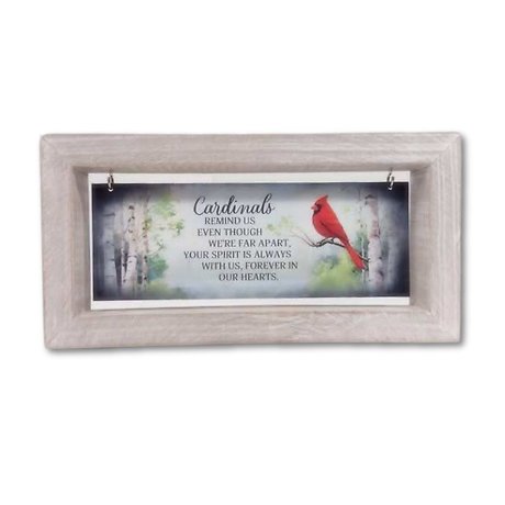 CARDINAL PLAQUE HANGING