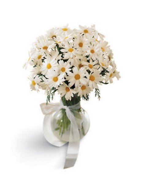 Daisy Vase