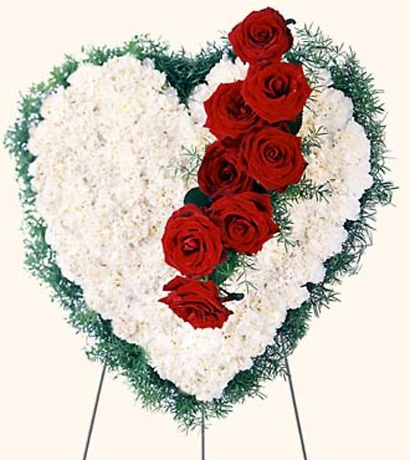 Bleeding Heart 