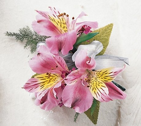Cherish Corsage
